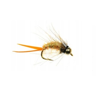 Sztuczne muchy #12 Hydropsyche Prince Nymph /111