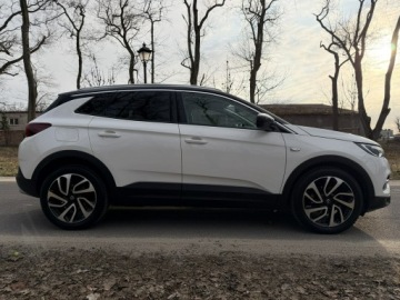 Opel 2019 Opel Grandland X 2.0 CDTI 177 KM Max Opcja Ful Led, zdjęcie 10