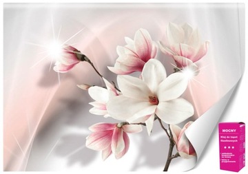 Fototapeta Białe Magnolie Tapety 3D do Salonu