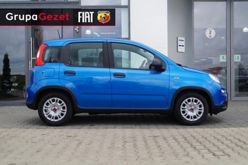 Fiat Panda III Hatchback 5d seria 5 1.0 GSE 70 KM 70KM 2025 Fiat Panda Pandina Icon 1.0 70 KM 5 miejsc Wyprzedaż, zdjęcie 7