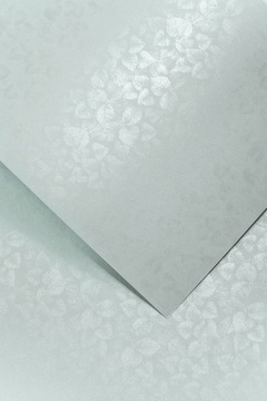 Papier Karton ozdobny LIŚCIE SZARY A4 250g 20a
