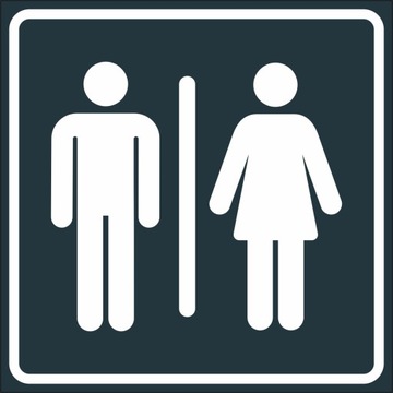 TOALETA MĘSKA DAMSKA TABLICZKA PIKTOGRAM WC ALU