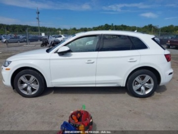 Audi Q5 II 2019 Audi Q5 2019 Audi Q5 Premium Plus 45 TFSI quattro 2.0 Benzyna 248KM, zdjęcie 13