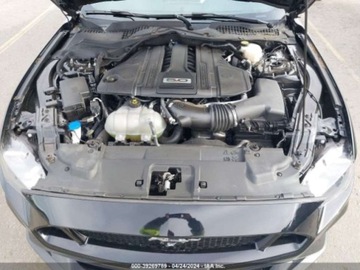Ford Mustang VI Mach 1 5.0 Ti-VCT 460KM 2021 Ford Mustang 2021r, GT, Premium, 5.0L 5.0 Benzyna 460KM, zdjęcie 12
