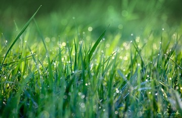 ЦЕОЛИТ Минеральное 0,5-1 Удобрение для посыпки газона на детских площадках 25 кг