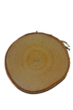Plaster drewna brzoza suche krążki 10-12cm, grubość 1cm