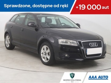 Audi A3 8P Hatchback 3d 1.6 102KM 2009 Audi A3 1.6, Klima,ALU