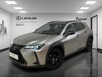 Lexus UX Crossover 200 171KM 2022 Lexus UX 200 GPF F Impression 2WD