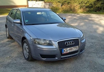 Audi A3 8P Hatchback 3d 1.6 FSI 115KM 2005 Audi A3 1,6 Benzyna 5 Drzwi Klima El szyby ..., zdjęcie 11