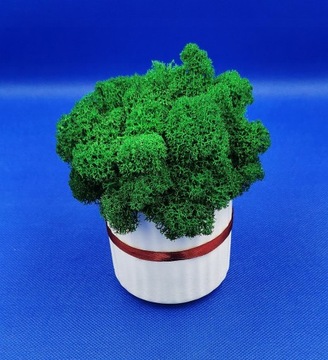 Вазон со мхом, любая гравировка в сердце, красивый керамический мох.