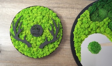 Картина круг со мхом, диаметр 50 см.