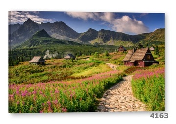 Картина на холсте 120х80 Картины на стену в гостиную Hala Gąsienicowa Tatra Mountains