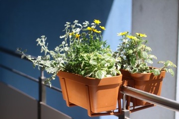 Держатель балконного ящика Lobelia Brick