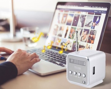 ПОРТАТИВНЫЙ АККУМУЛЯТОРНЫЙ FM-РАДИО СО СВЕТОДИОДНЫМ ДИНАМИКОМ, СЕРЫЙ