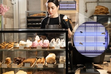 УФ -инсектицидная лампа нет вредителей на комарских мотыльках мотыль