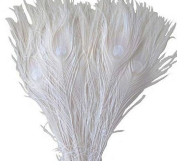 10 sztuk białe biały paw pawie pióra oczy 22-26cm