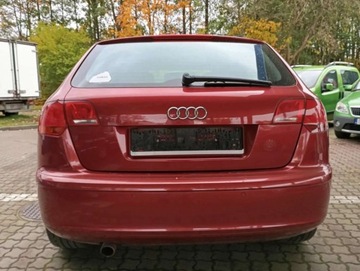 Audi A3 8P Hatchback 3d 1.6 FSI 115KM 2007 Audi A3 Sportback 1.6 benzyna CLIMATRONIC PIEKNY kolor bez rdzy 1.6 115KM, zdjęcie 13