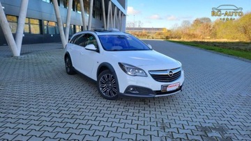 Opel Insignia I Country Tourer 1.6 CDTI Ecotec 136KM 2015 Opel Insignia 1.6CDTI CountryT Oryginal 198Tkm..., zdjęcie 1