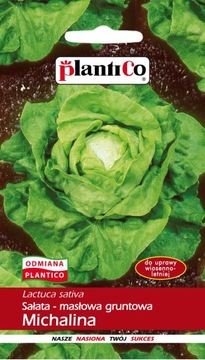 SAŁATA MASŁOWA Michalina nasiona ś. wczesna 1g