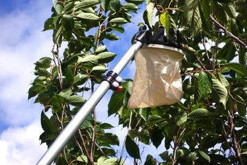 Zbierak do owoców teleskopowy trzonek koszt z tkaniny 3,75m KT-V1531-375