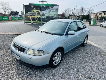 Audi A3 8L Hatchback 1.6 i 102KM 2001