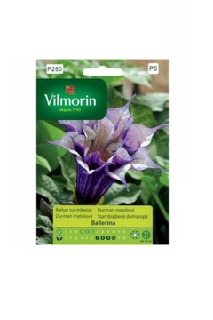 Bieluń surmikwiat Ballerina 5z Vilmorin