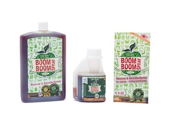 BIOTABS Boom boom spray 100ml Boomboom stymulator