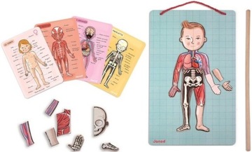 МАГНИТНАЯ ПАЗЛ ЧЕЛОВЕЧЕСКОЕ ТЕЛО 7+ ЯНОД