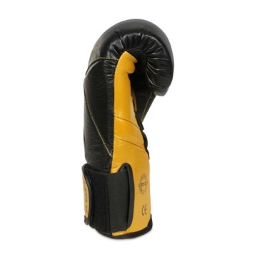 Боксерские перчатки DBX Bushido Hammer Gold B-2v14