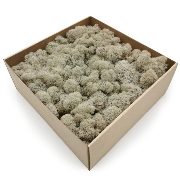 500g netto MECH CHROBOTEK reniferowy OCZYSZCZONY