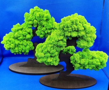 Дерево бонсай с 3D мхом, красивый мох со всех сторон