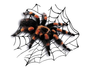 TARANTULA NAKLEJKA NA SAMOCHÓD