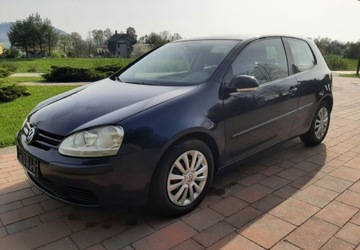 Volkswagen Golf V Hatchback 1.4 i 16V 75KM 2006 Volkswagen Golf Volkswagen Golf V 1.4 Comfortline