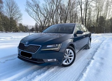 Skoda Superb III Liftback 2.0 TDI 190KM 2015 Skodę Superb III 2.0 TDI 190KM