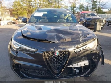 Alfa Romeo Stelvio 2019 Alfa Romeo Stelvio 2019 Alfa Romeo Stelvio Quadrifoglio AWD 2.0 Benzyna, zdjęcie 1