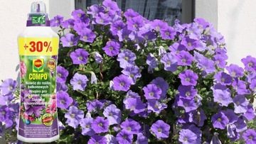 УДОБРЕНИЕ ДЛЯ БАЛКОННЫХ РАСТЕНИЙ ГЕЛАРГОНИЯ SURFINI PETUNI, ЖИДКОЕ 1,3 Л КОМПО