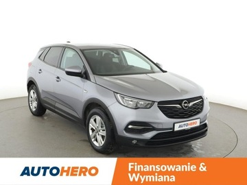 Opel 2019 Opel Grandland X Business Edition automat navi PDC, zdjęcie 9