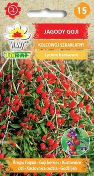 Jagody Goji - Nasiona 0.1g