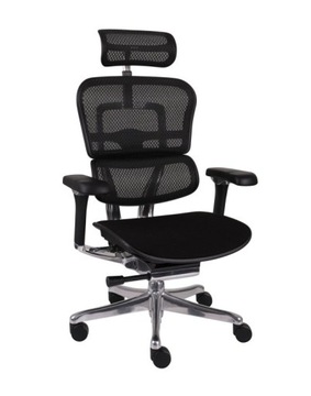 Ergonomiczny Fotel biurowy obrotowy Ergohuman 2 Elite PRO Tkanina Czarny