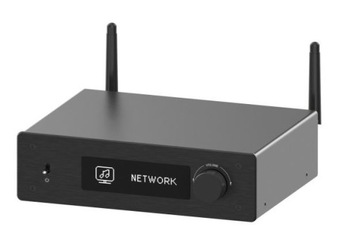 Arylic H50 - wzmacniacz stereo + odtwarzacz sieciowy / DAC ESS9023P