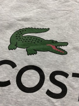 Lacoste ORYGINALNA BAWEŁNIANA SZARA BLUZA / rozmiar L