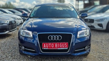 Audi A3 8V Hatchback 3d 1.6 TDI 105KM 2013 Audi A3 Sportback navi climatronic, zdjęcie 1