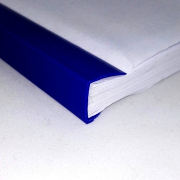 Полоска-вставка для корешка 6 мм, 50 шт. в упаковке, прозрачная