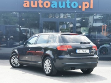 Audi A3 8P Hatchback 3d 2.0 TDI CR 170KM 2010 AUDI A3 Quattro 4x4, Manual, 2x Klucz, Nawigacja, Kamera cofania 8P, zdjęcie 26