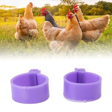 100 шт. Кольцо для ножки курицы и утки