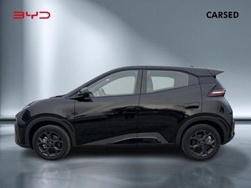 BYD 2025 BYD Dolphin Surf, zdjęcie 1