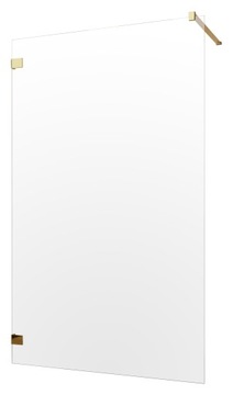 Essenza Pro Gold Walk-in 140 Radaway kabina