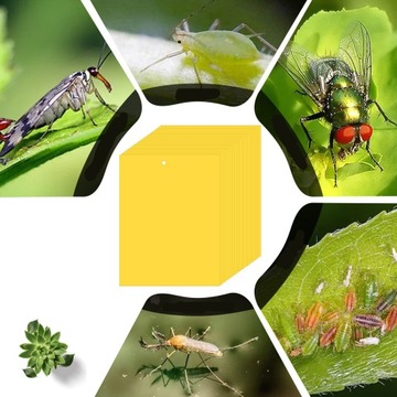 ДОСКИ ДЛЯ НАКЛЕЙКИ, ЖЕЛТАЯ БУМАГА ДЛЯ ВИШНЕВЫ, ЛОВУШКИ ДЛЯ НАСЕКОМЫХ, 74 шт.