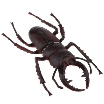 Моделирование насекомых Рисунок Модель Высокий песчаный червь