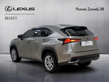 Lexus NX I SUV Facelifting 300h 197KM 2021 Lexus NX 300h F Impression AWD I (2014-2021) 300h, zdjęcie 4